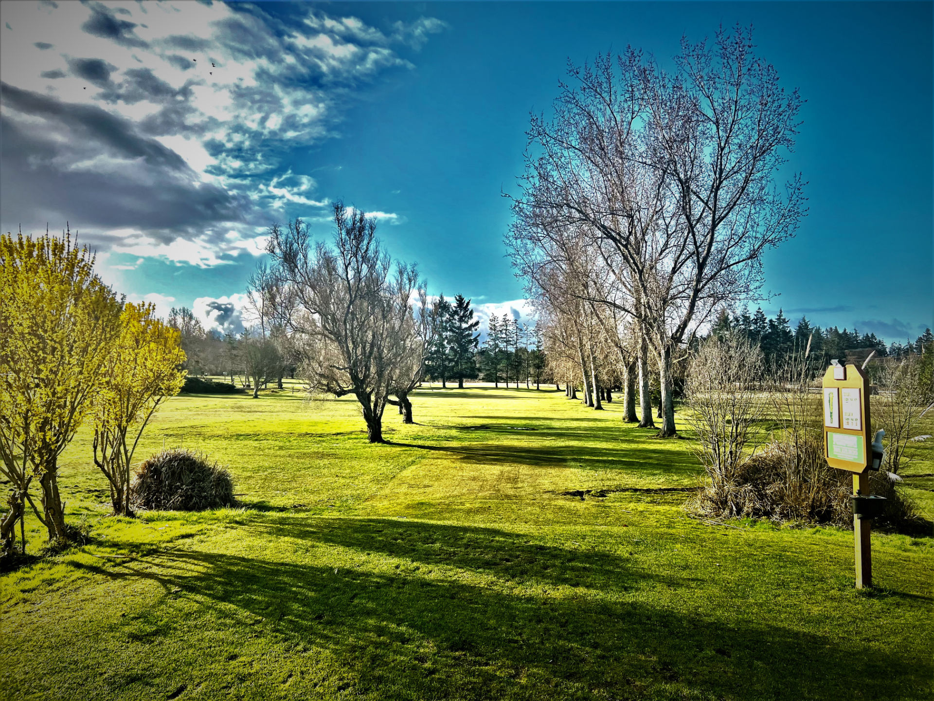 Image of golf ball on tee on grass.